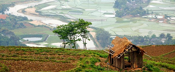 sapa-green-great-view